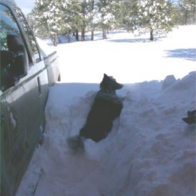 Blizzard 2003 03 Image089