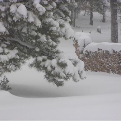 Blizzard 2005 04 Picture2