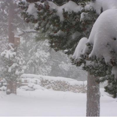 Blizzard 2005 04 Picture4