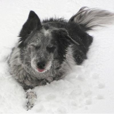 Blizzard 2005 04 Picture5